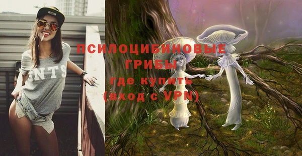 мескалин Алексин