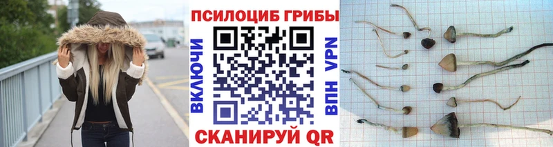 Галлюциногенные грибы Cubensis  где можно купить наркотик  Солигалич 